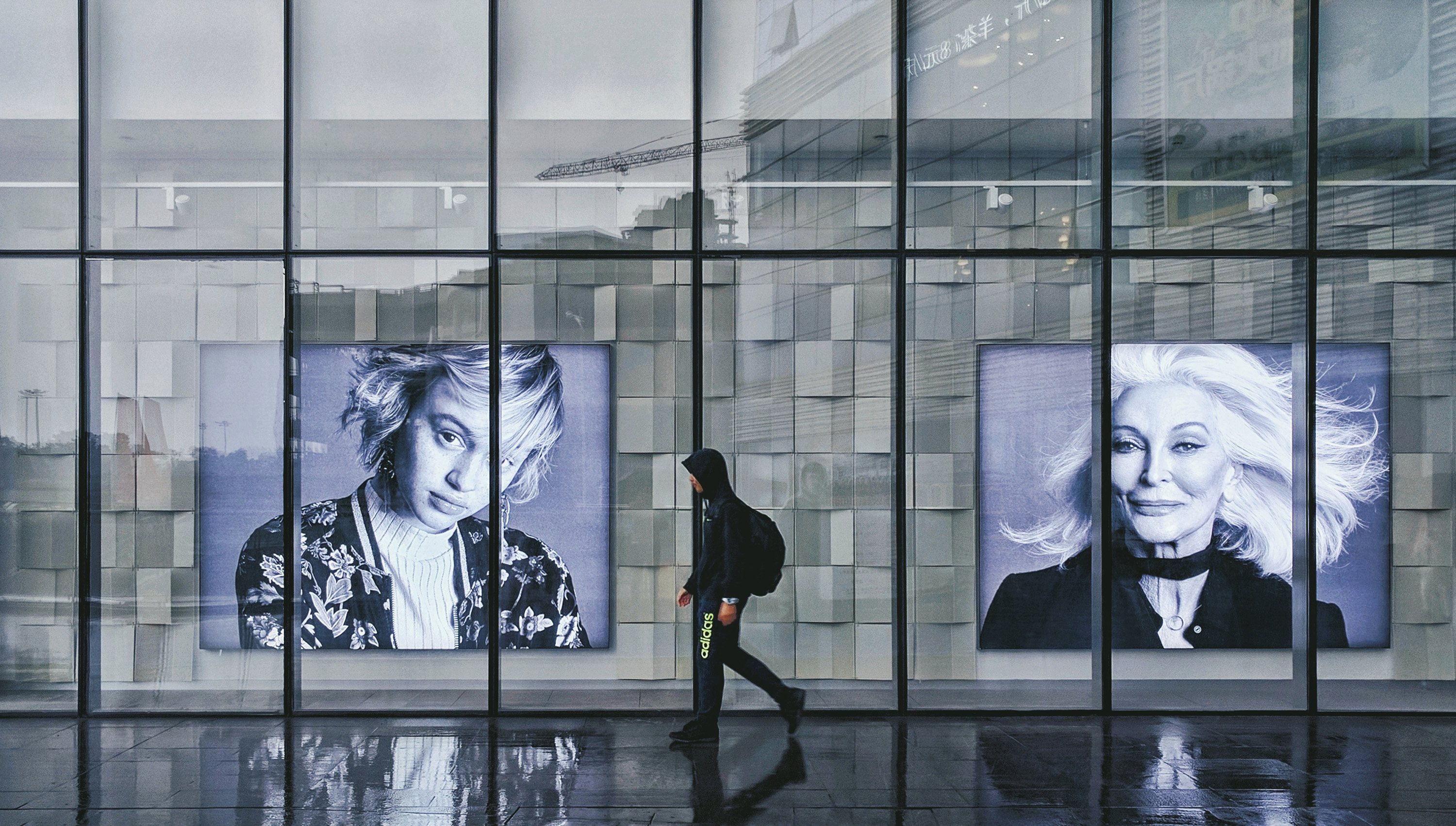 glass wall with photos